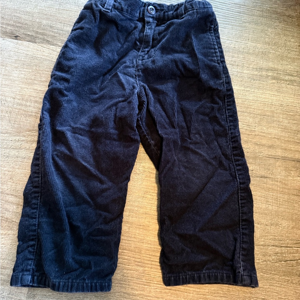 Hartstrings Blue Casual Bottoms